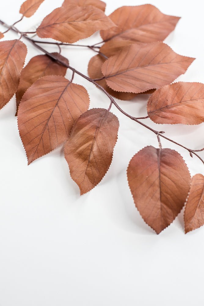 Salal leaves spray - Coffee - Greenery MarketFL5716 - COF