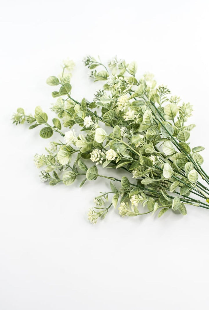 Sedium Filler Bush - Cream - Greenery Market13635CM