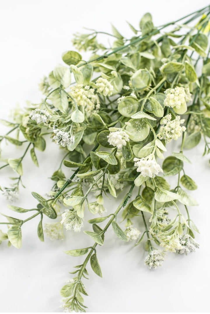 Sedium Filler Bush - Cream - Greenery Market13635CM