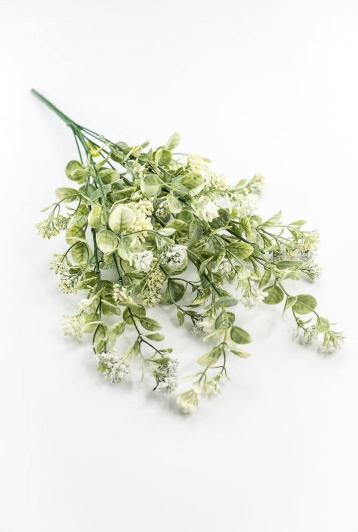 Sedium Filler Bush - Cream - Greenery Market13635CM