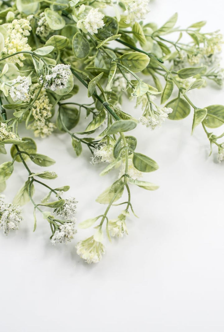 Sedium Filler Bush - Cream - Greenery Market13635CM