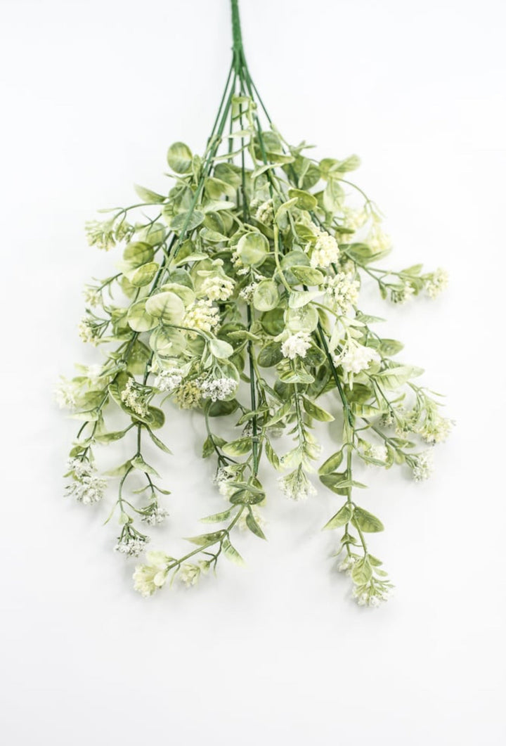 Sedium Filler Bush - Cream - Greenery Market13635CM