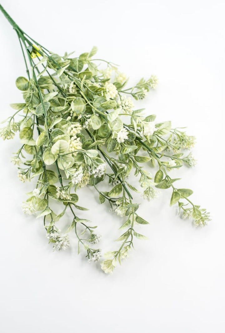 Sedium Filler Bush - Cream - Greenery Market13635CM