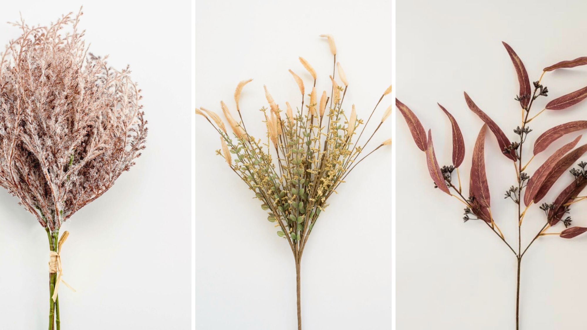 Three different types of dried plants on a white background