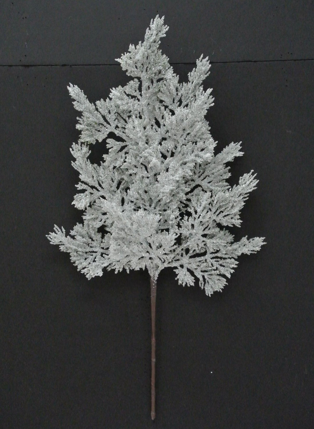 Snow Cedar Pick - Greenery Market23007