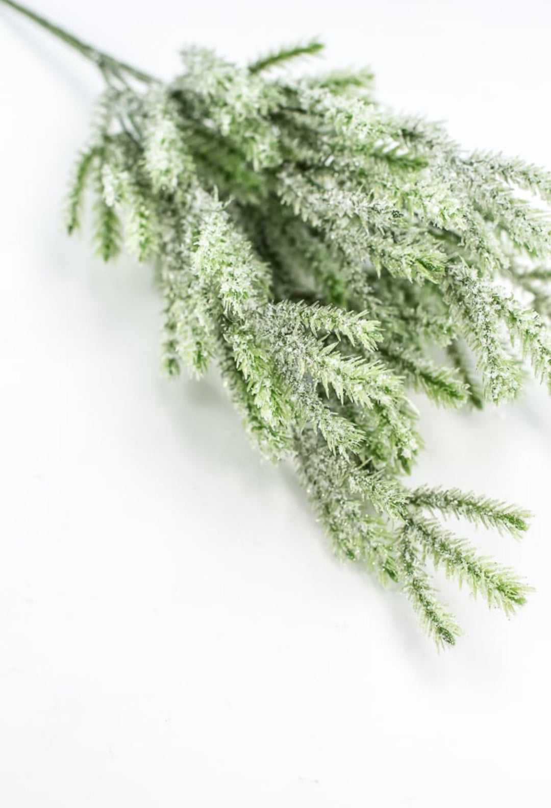 Snow Fir Bush - Greenery MarketArtificial Flora84961SNOW