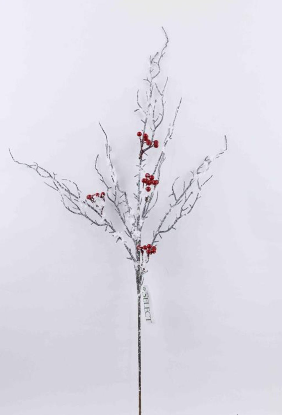 Snow Red Natural Berry Spray - 32" - Greenery MarketXB642SNOW