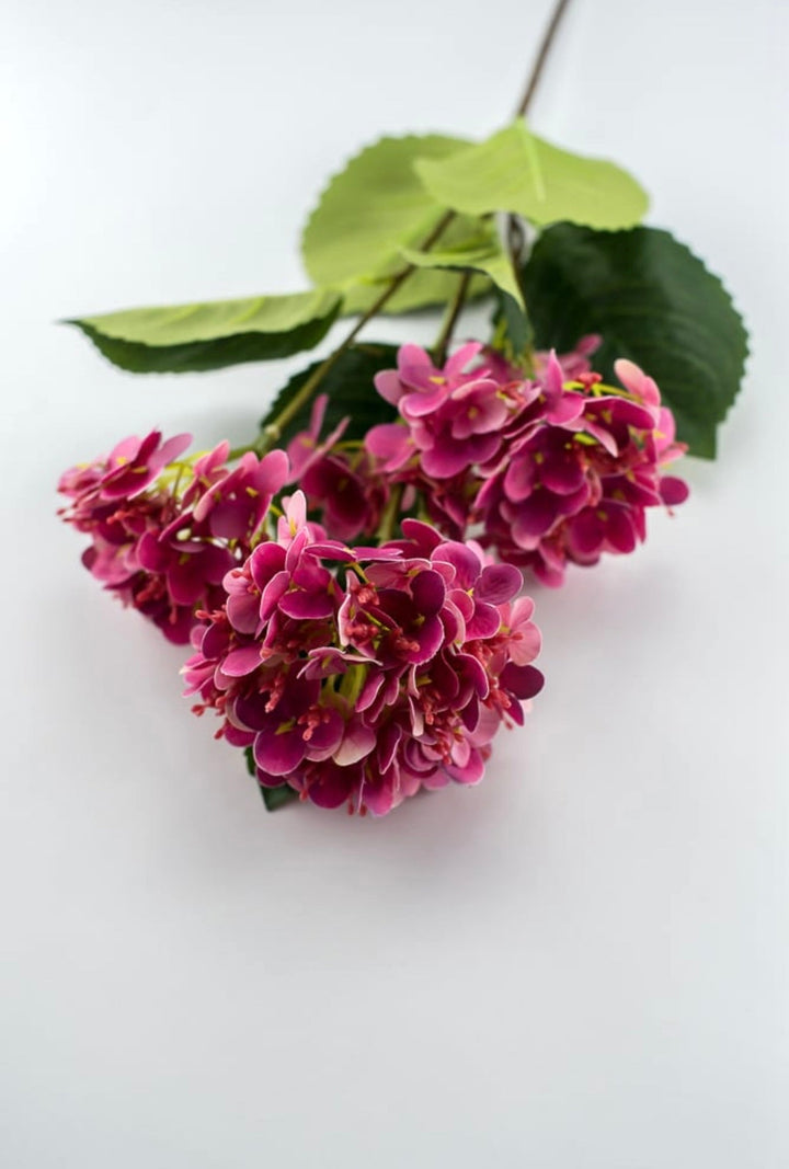 Snowball hydrangea spray - cerise pink - Greenery Market6222 - CER