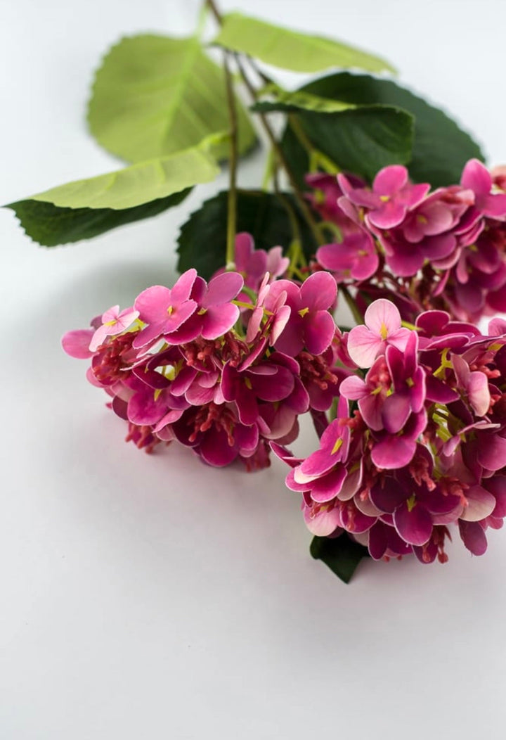 Snowball hydrangea spray - cerise pink - Greenery Market6222 - CER