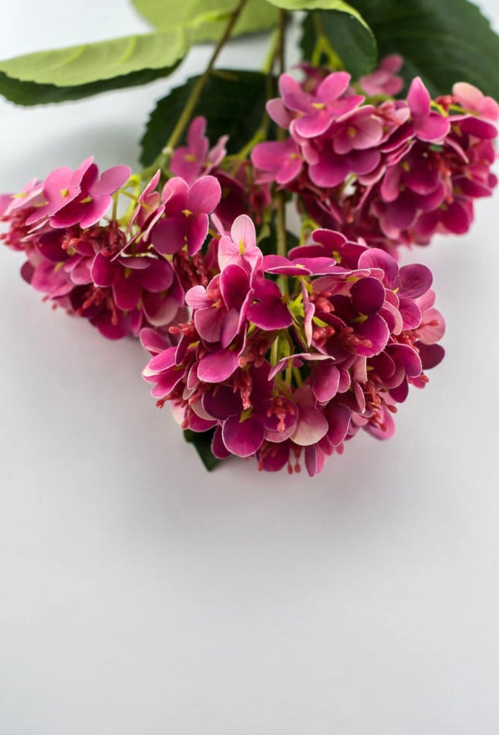 Snowball hydrangea spray - cerise pink - Greenery Market6222 - CER