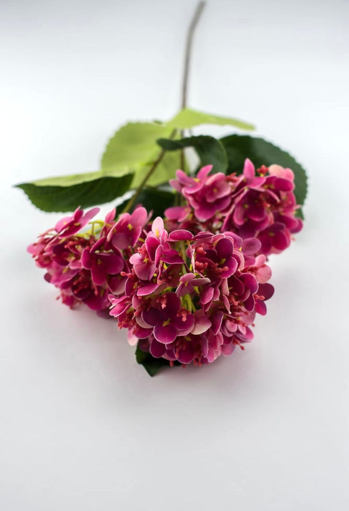 Snowball hydrangea spray - cerise pink - Greenery Market6222 - CER
