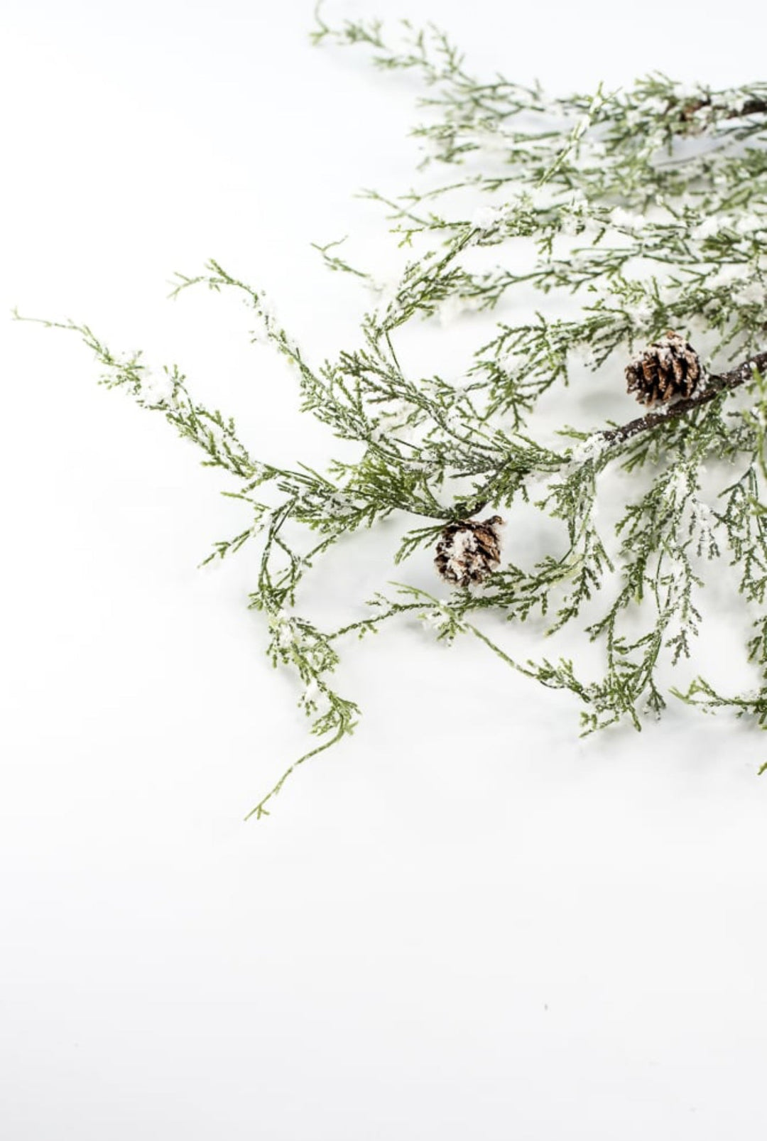 Snowy cedar and cone spray - greenery market exclusive - Greenery Marketgreenerygm3114snow