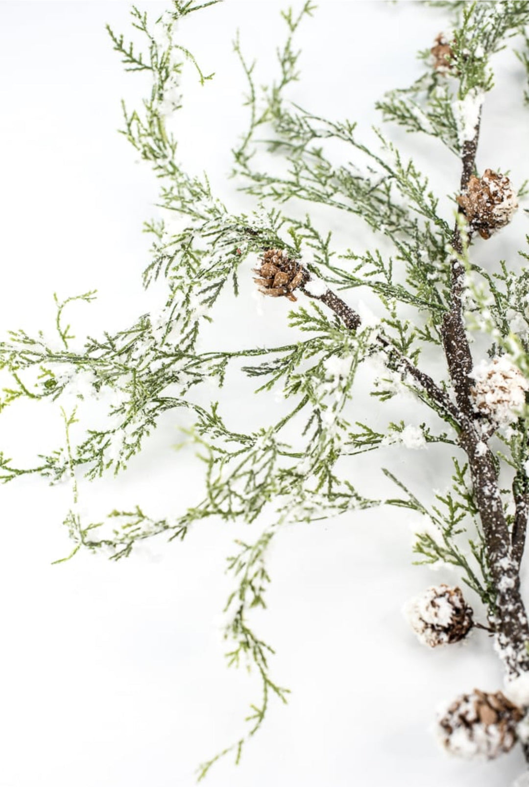 Snowy cedar and cone spray - greenery market exclusive - Greenery Marketgreenerygm3114snow