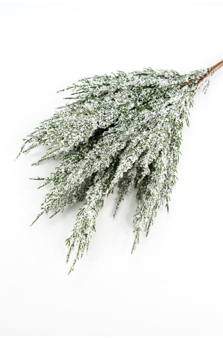 Snowy iced cedar bush - Greenery Marketgreenery84923snow
