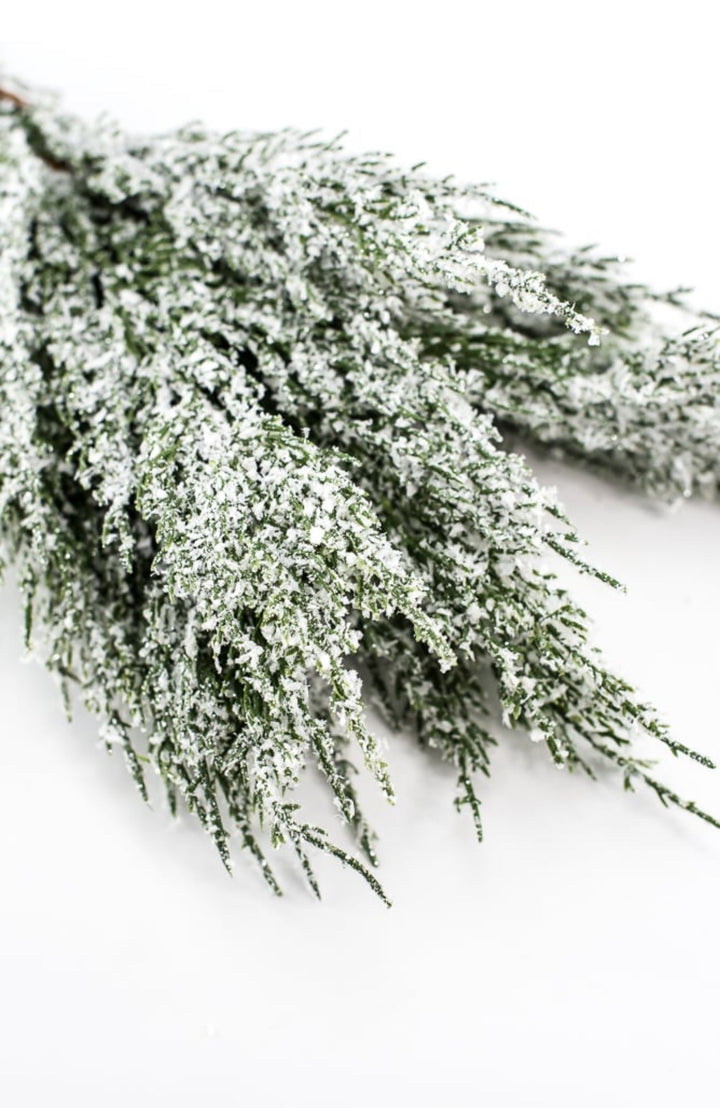 Snowy iced cedar bush - Greenery Marketgreenery84923snow