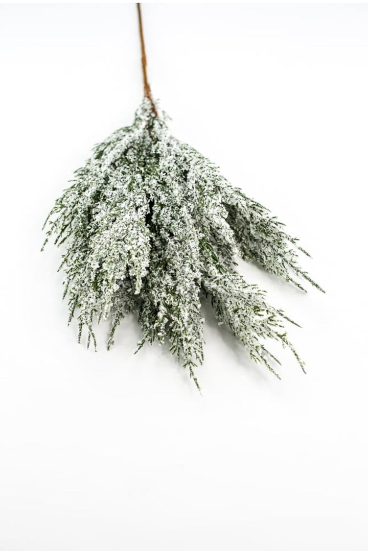Snowy iced cedar bush - Greenery Marketgreenery84923snow