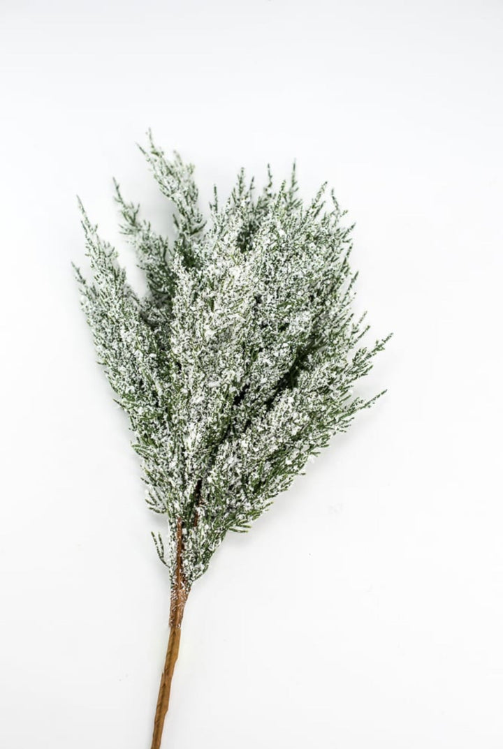 Snowy iced cedar bush - Greenery Marketgreenery84923snow