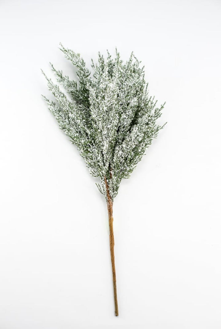 Snowy iced cedar bush - Greenery Marketgreenery84923snow