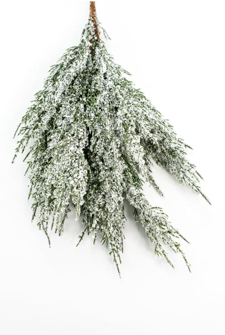 Snowy iced cedar bush - Greenery Marketgreenery84923snow