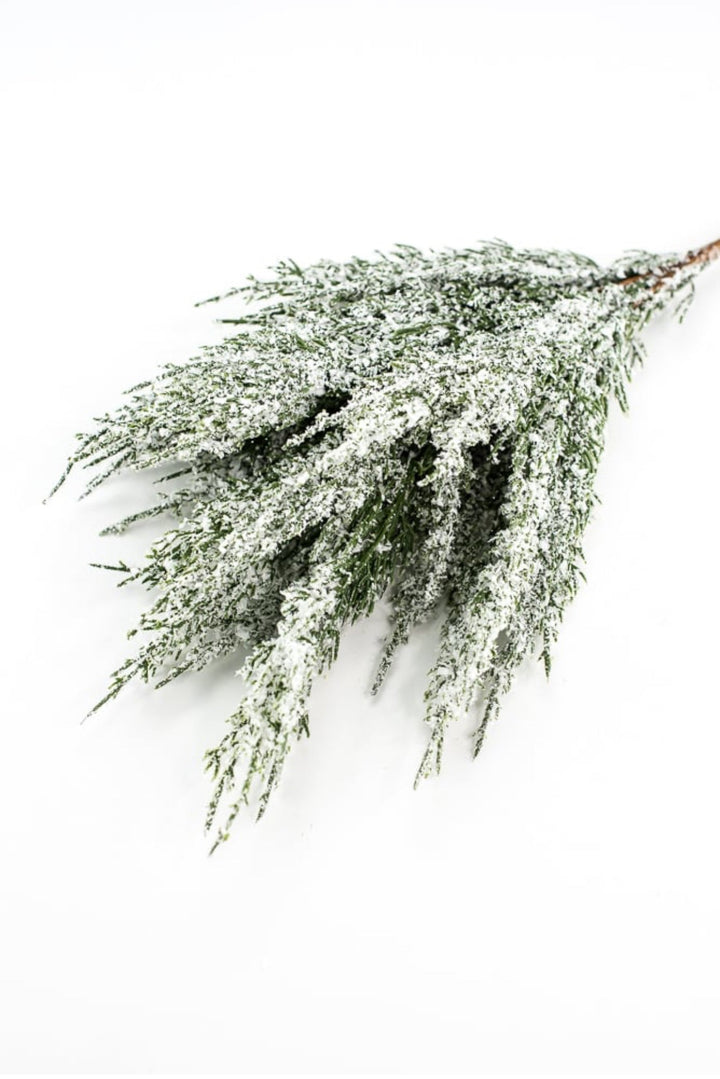 Snowy iced cedar bush - Greenery Marketgreenery84923snow