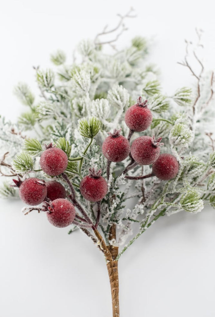 Snowy mountain pine and crabapple pick - Greenery MarketgreeneryXp2458