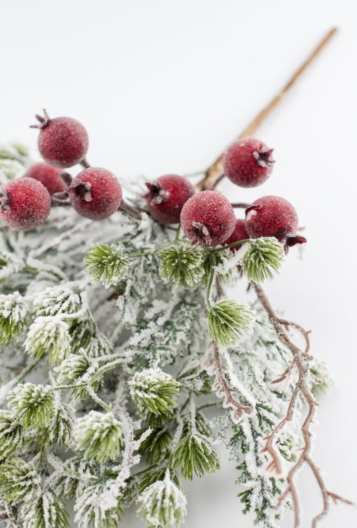 Snowy mountain pine and crabapple pick - Greenery MarketgreeneryXp2458