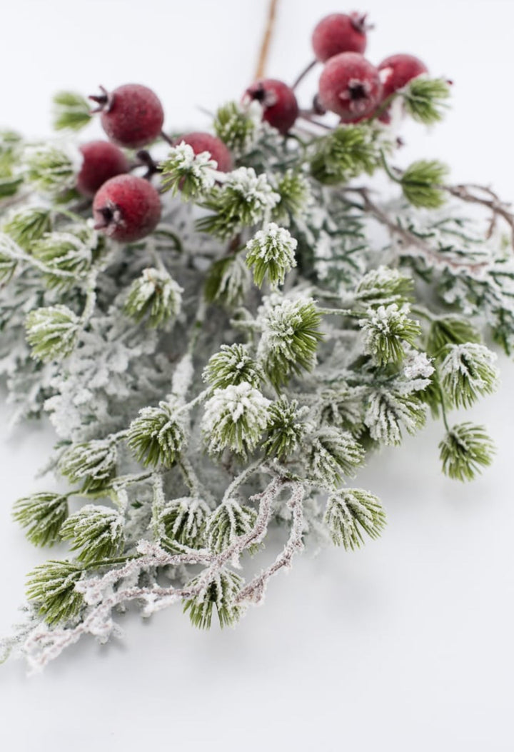 Snowy mountain pine and crabapple pick - Greenery MarketgreeneryXp2458