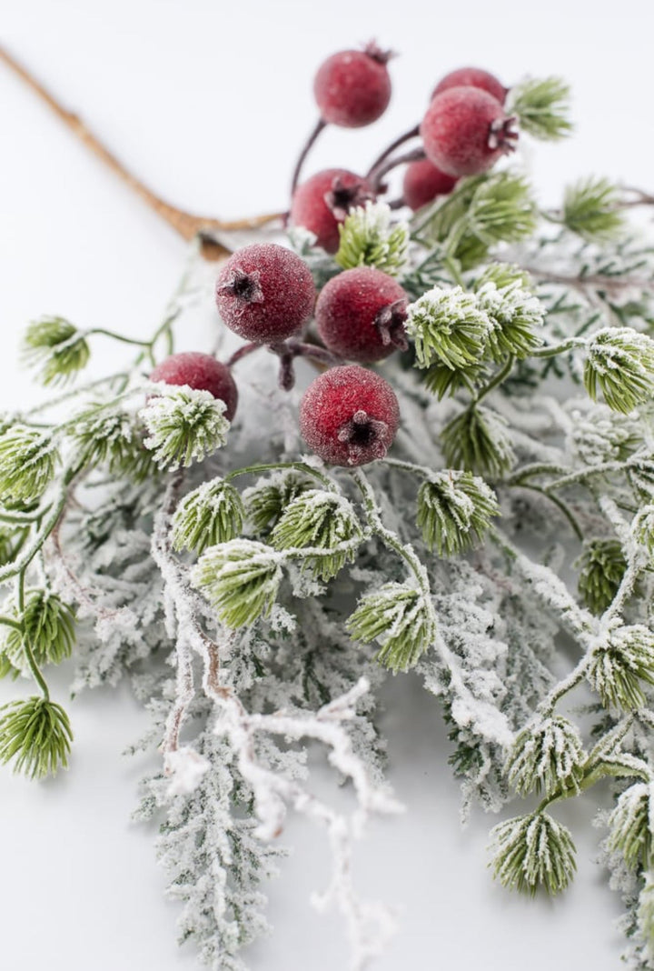 Snowy mountain pine and crabapple pick - Greenery MarketgreeneryXp2458