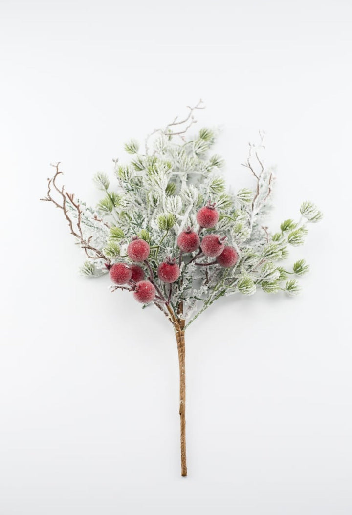 Snowy mountain pine and crabapple pick - Greenery MarketgreeneryXp2458