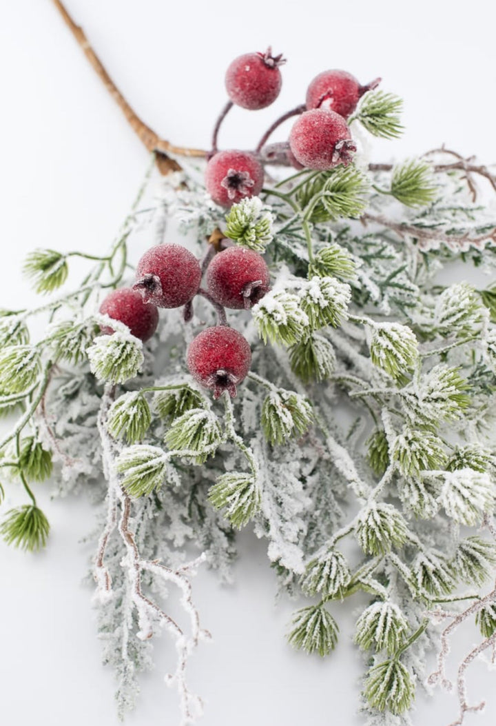 Snowy mountain pine and crabapple pick - Greenery MarketgreeneryXp2458