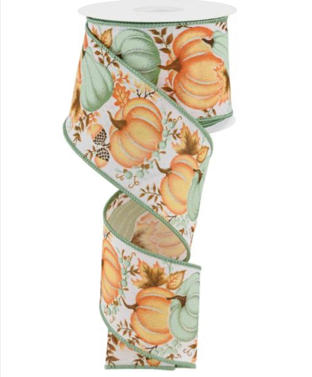 Soft sage Autumn Mixed Pumpkin 2.5” wired ribbon - Greenery MarketWired ribbonRGE1987J3