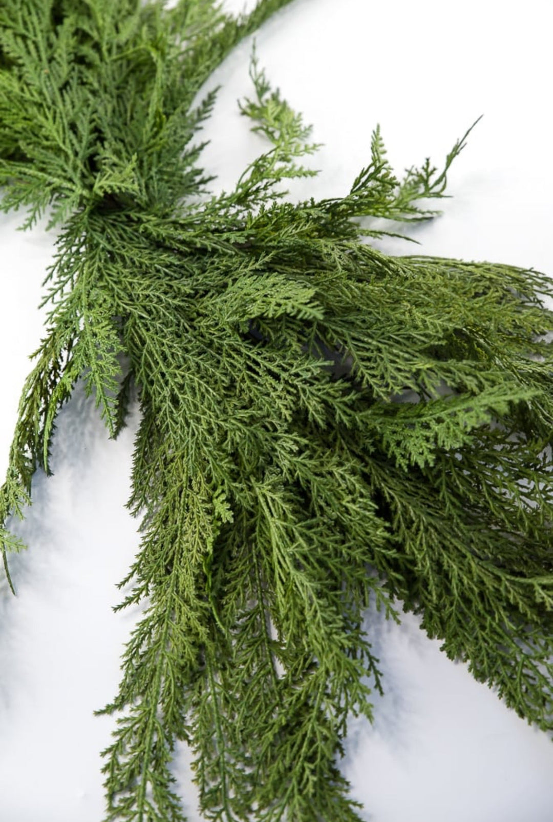 Soft touch, artificial, cedar pine swag - 48” - Greenery Marketgreenery207397