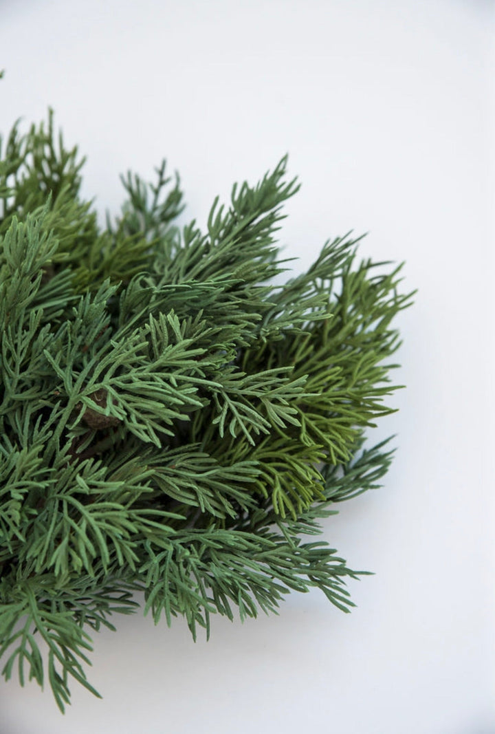 Soft touch Cypress bundle x 5 sprays - Greenery Marketgreenery27388