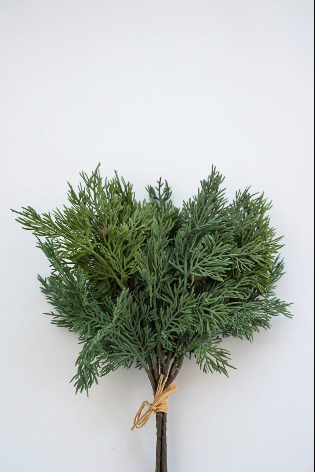 Soft touch Cypress bundle x 5 sprays - Greenery Marketgreenery27388