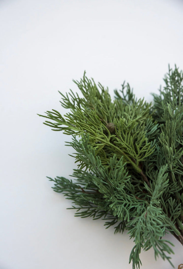 Soft touch Cypress bundle x 5 sprays - Greenery Marketgreenery27388