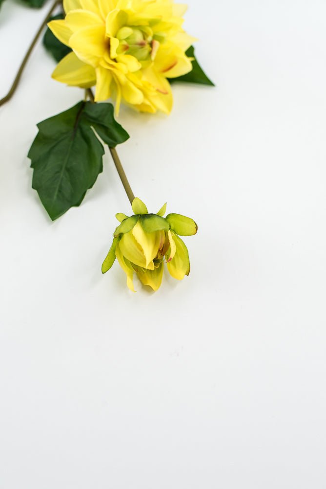 Soft touch dahlia yellow - Greenery Market2225045YL