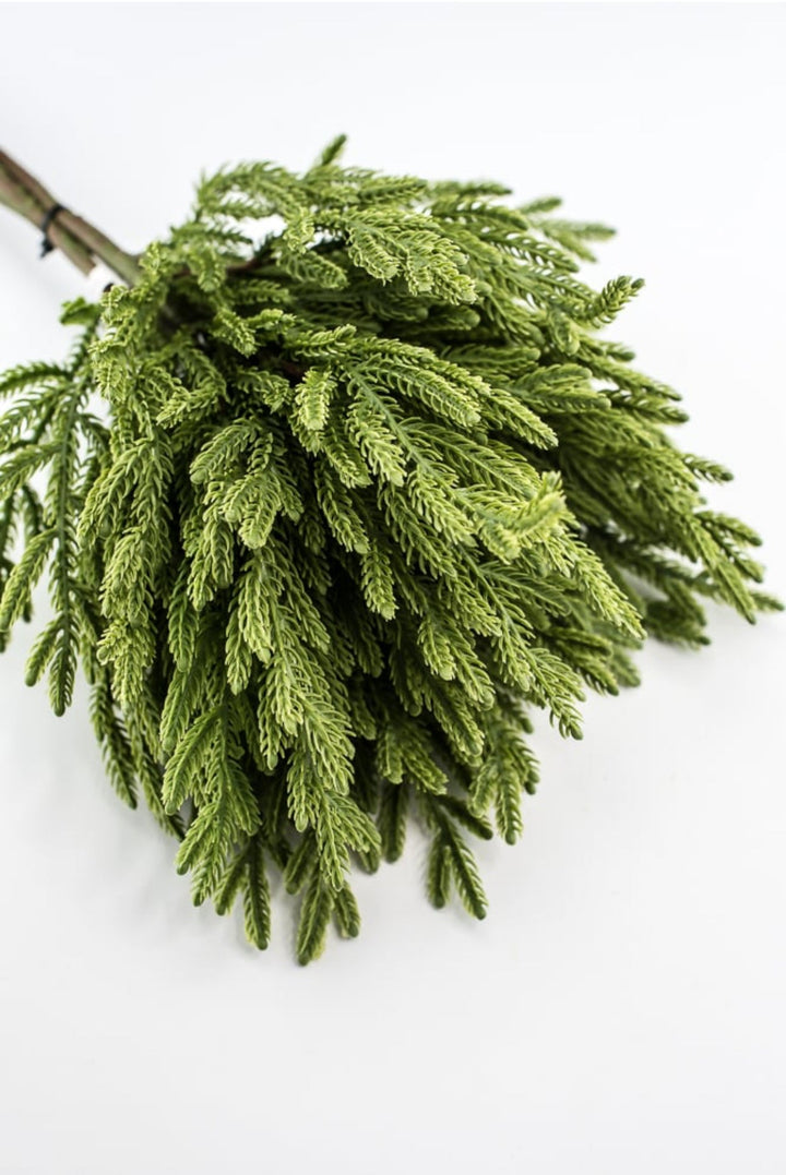 Soft touch Norfolk fir bundle - green - Greenery Market27919