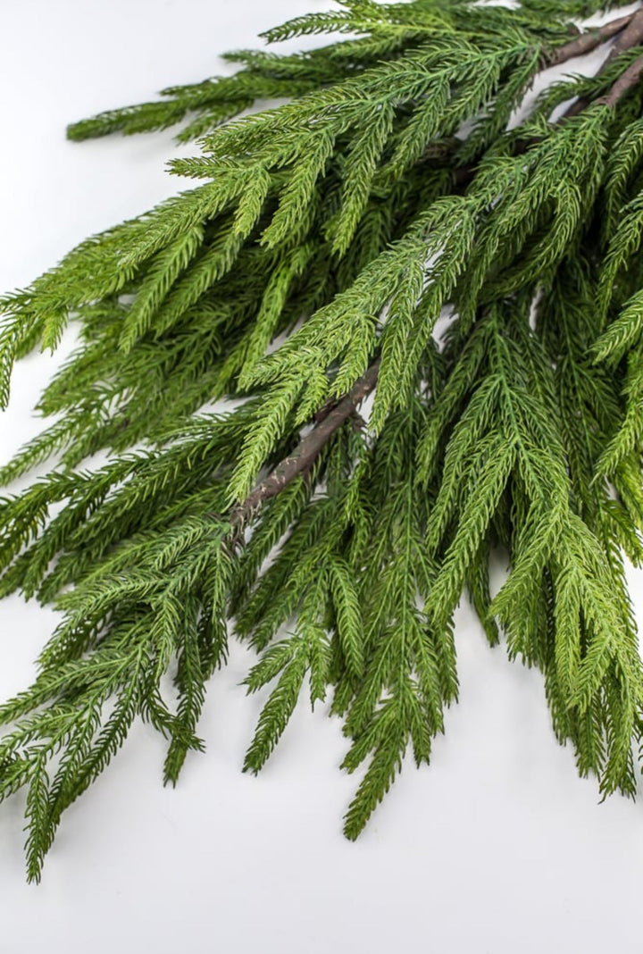 Soft touch Norfolk pine spray 38” - Greenery Market244951