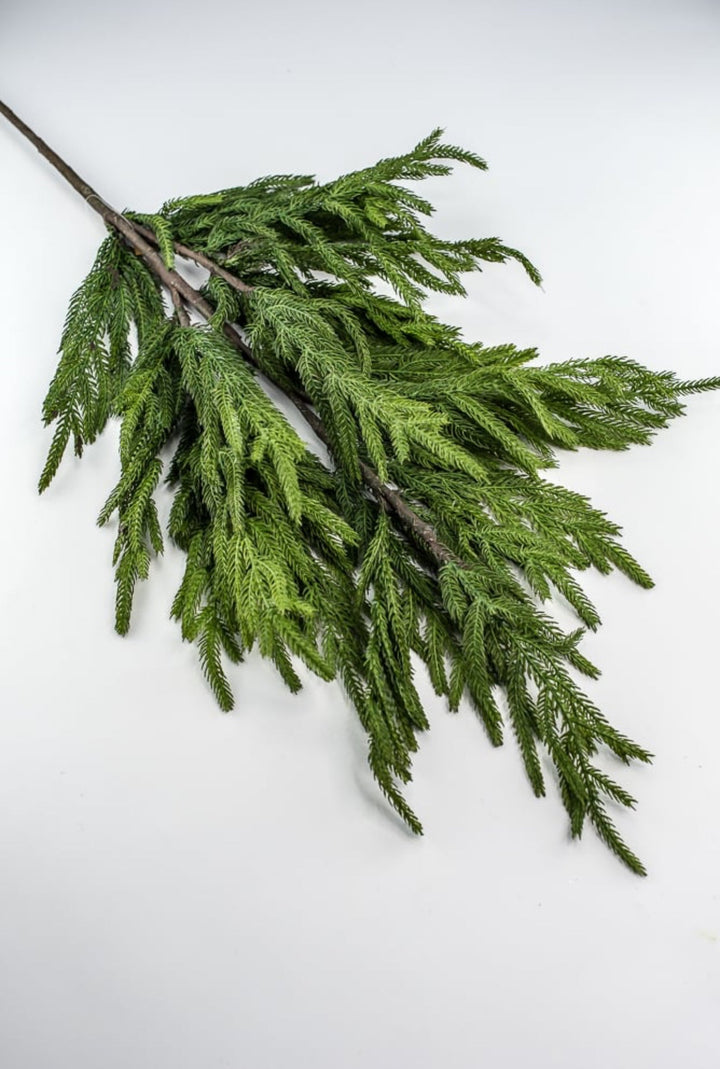 Soft touch Norfolk pine spray 38” - Greenery Market244951