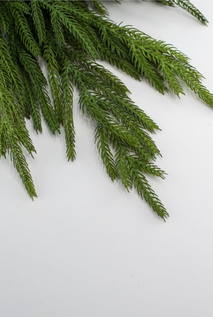 Soft touch Norfolk pine spray - Greenery Market204749