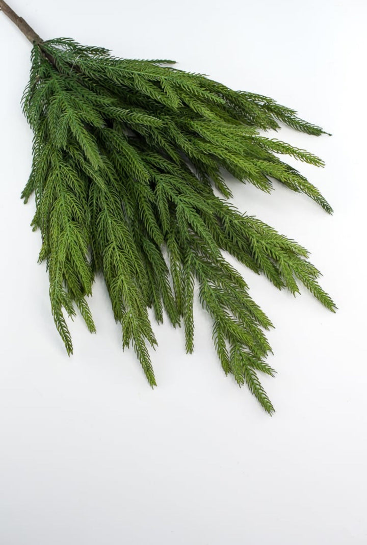 Soft touch Norfolk pine spray - Greenery Market204749