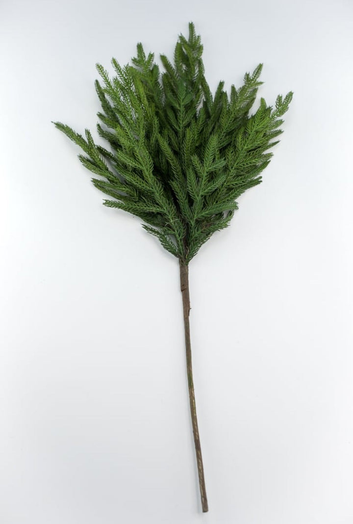 Soft touch Norfolk pine spray - Greenery Market204749