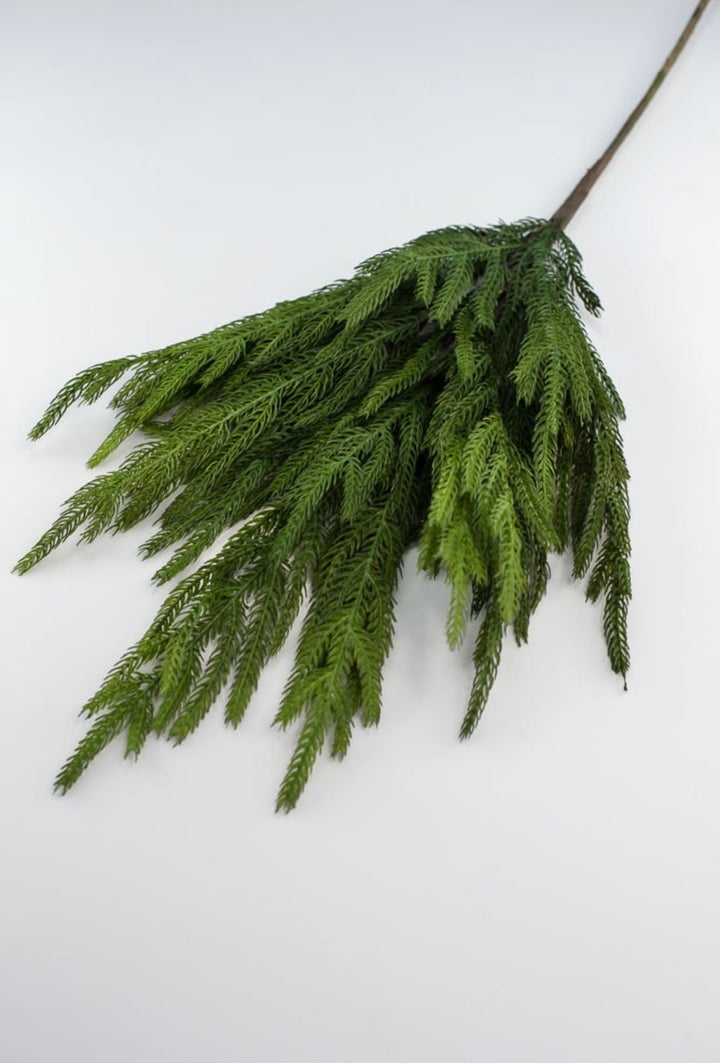 Soft touch Norfolk pine spray - Greenery Market204749