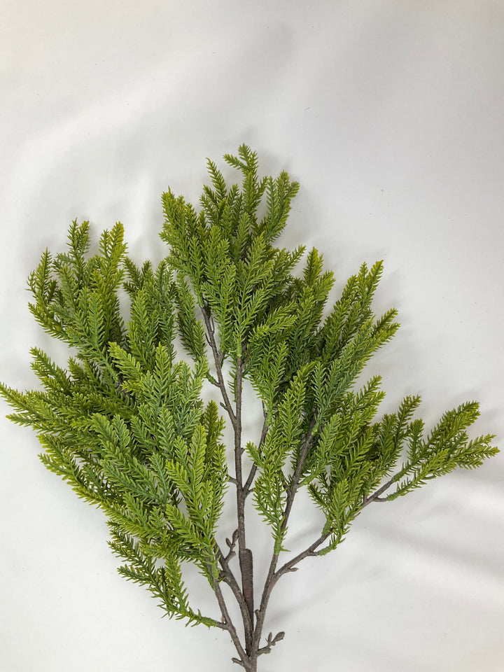 Soft Touch, Norfolk, Pine Spray - Greenery Market28659