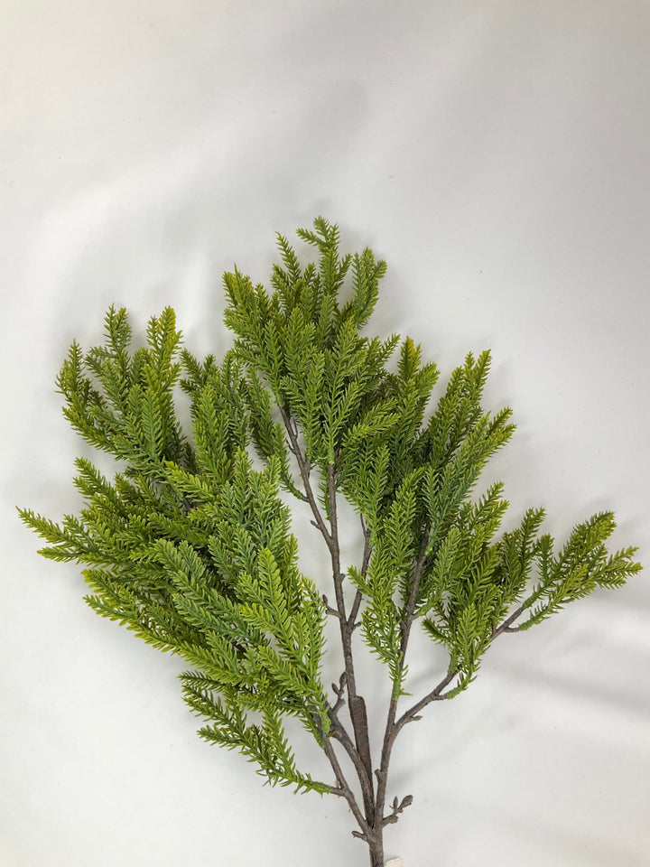 Soft Touch, Norfolk, Pine Spray - Greenery Market28659