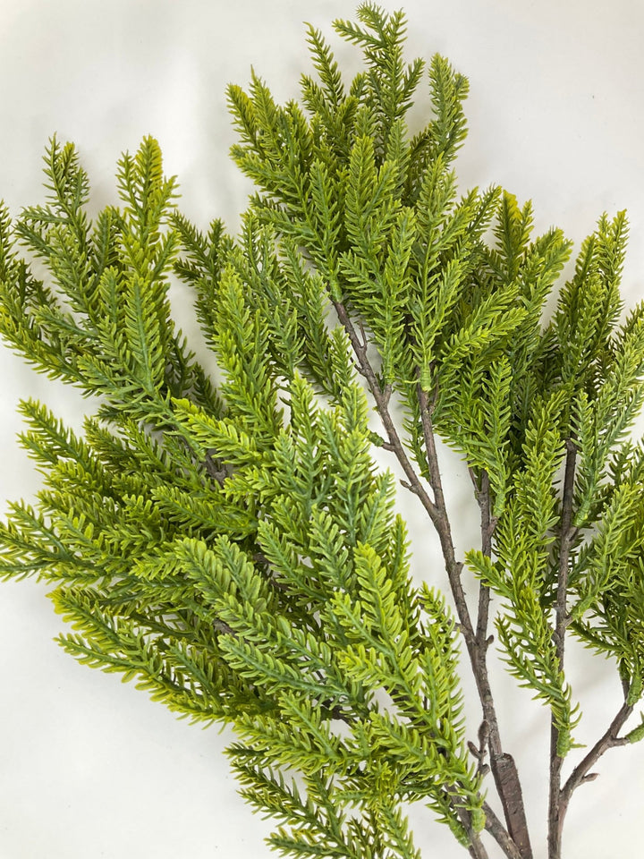 Soft Touch, Norfolk, Pine Spray - Greenery Market28659