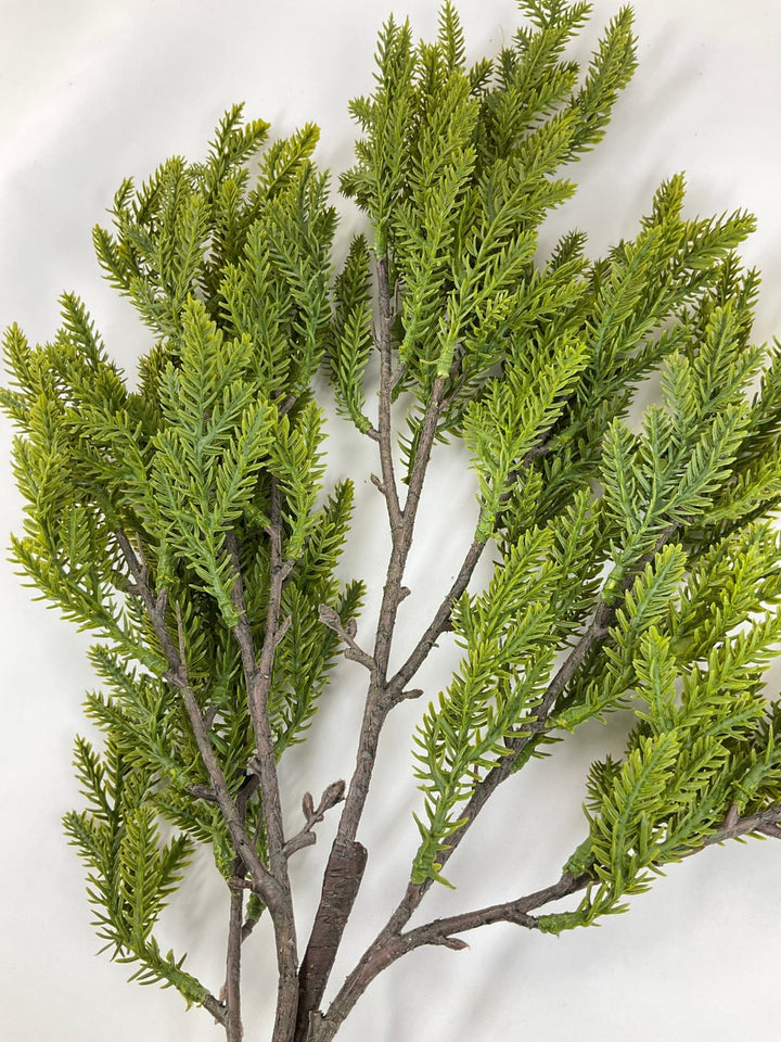 Soft Touch, Norfolk, Pine Spray - Greenery Market28659