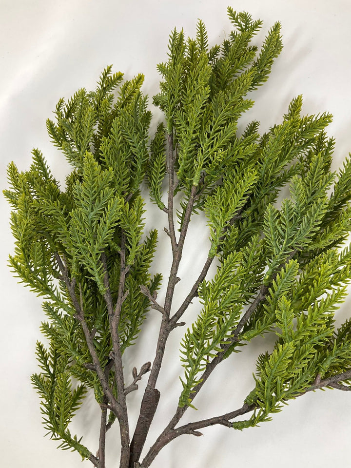 Soft Touch, Norfolk, Pine Spray - Greenery Market28659