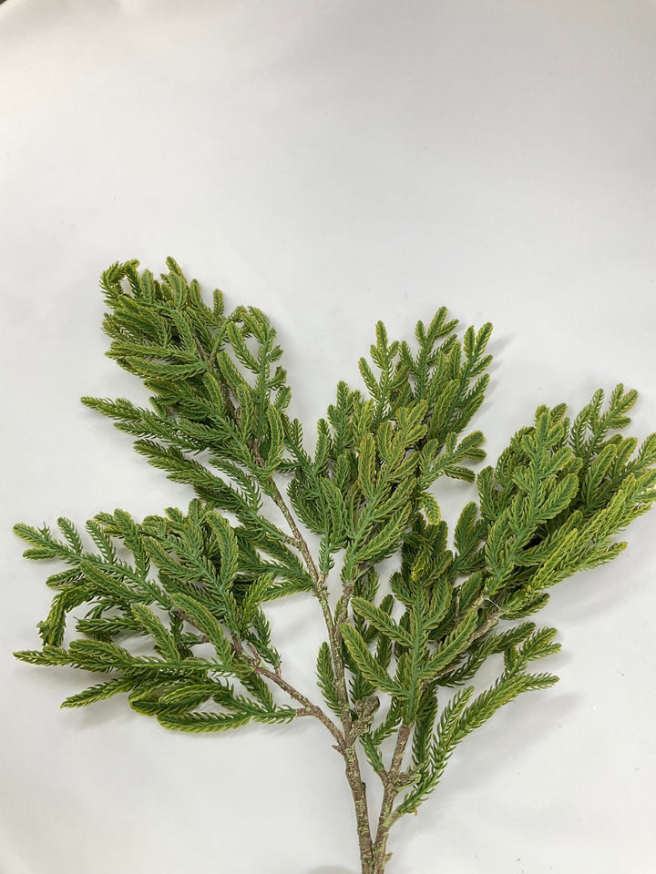 Soft Touch, Pine, Pine Spray - Greenery Market28613