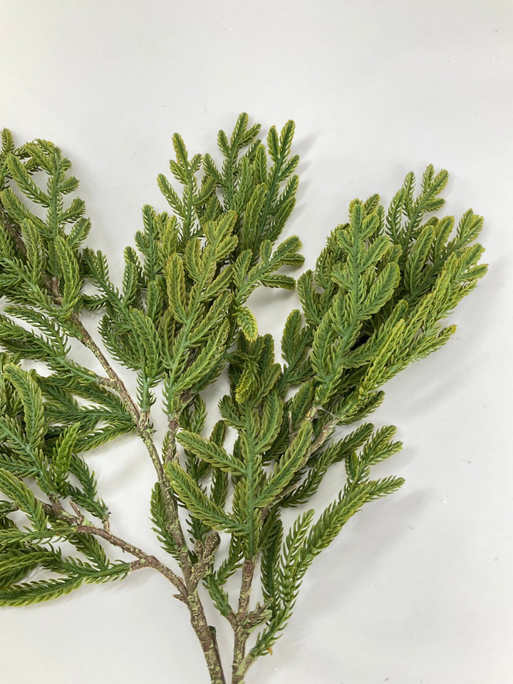 Soft Touch, Pine, Pine Spray - Greenery Market28613